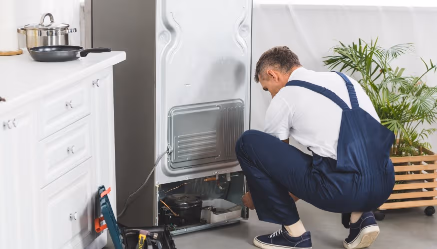 ¿Cuáles son los servicios más buscados para reparación de neveras en Castellón? Cuales son los servicios mas buscados para reparacion de neveras en Castellon - ¿Cuáles son los servicios más buscados para reparación de neveras en Castellón?