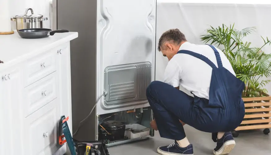 Cuales son los servicios de reparacion de neveras mas recomendados Valencia - &iquest;Cu&aacute;les son los servicios de reparaci&oacute;n de neveras m&aacute;s recomendados en Valencia?