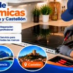 Reparación Vinotecas en Barcelona Valencia Castellón Reparacion Vitroceramicas en Barcelona Valencia Castellon 150x150 - Reparación Vinotecas en Barcelona Valencia Castellón